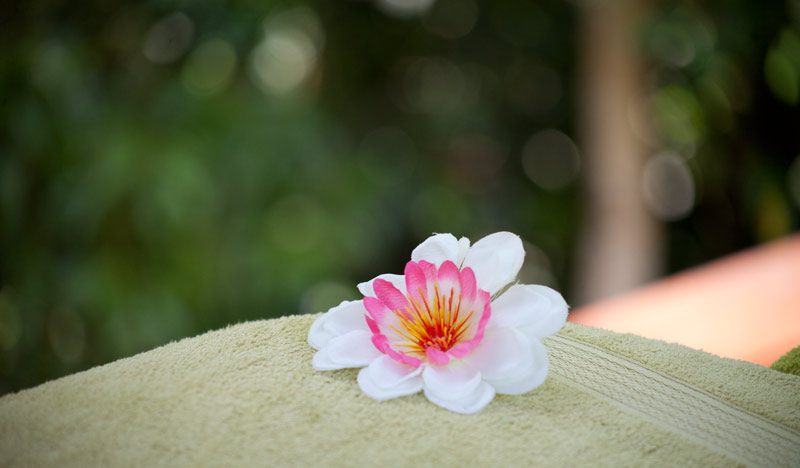 Ayurvedic Daintree Consultations